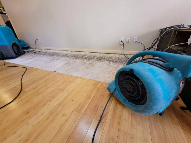 Professional Basement Flood Cleanup technician working in Pitman, PA